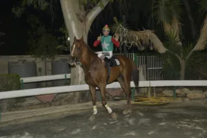 ΙΠΠΟΔΡΟΜΟΣ ΚΥΠΡΟΣ / IPPODROMOS KYPROS ΠΑΝΑΚΡΙΒΟΣ (PANAKRIVOS) - 21/09/2025