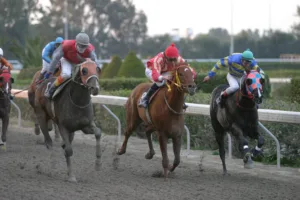 ΙΠΠΟΔΡΟΜΟΣ ΚΥΠΡΟΣ / IPPODROMOS KYPROS