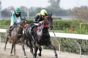 ΙΠΠΟΔΡΟΜΟΣ ΚΥΠΡΟΣ / IPPODROMOS KYPROS