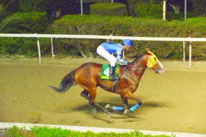 ΙΠΠΟΔΡΟΜΟΣ ΚΥΠΡΟΣ / IPPODROMOS KYPROS