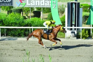 ΙΠΠΟΔΡΟΜΟΣ ΚΥΠΡΟΣ / IPPODROMOS KYPROS