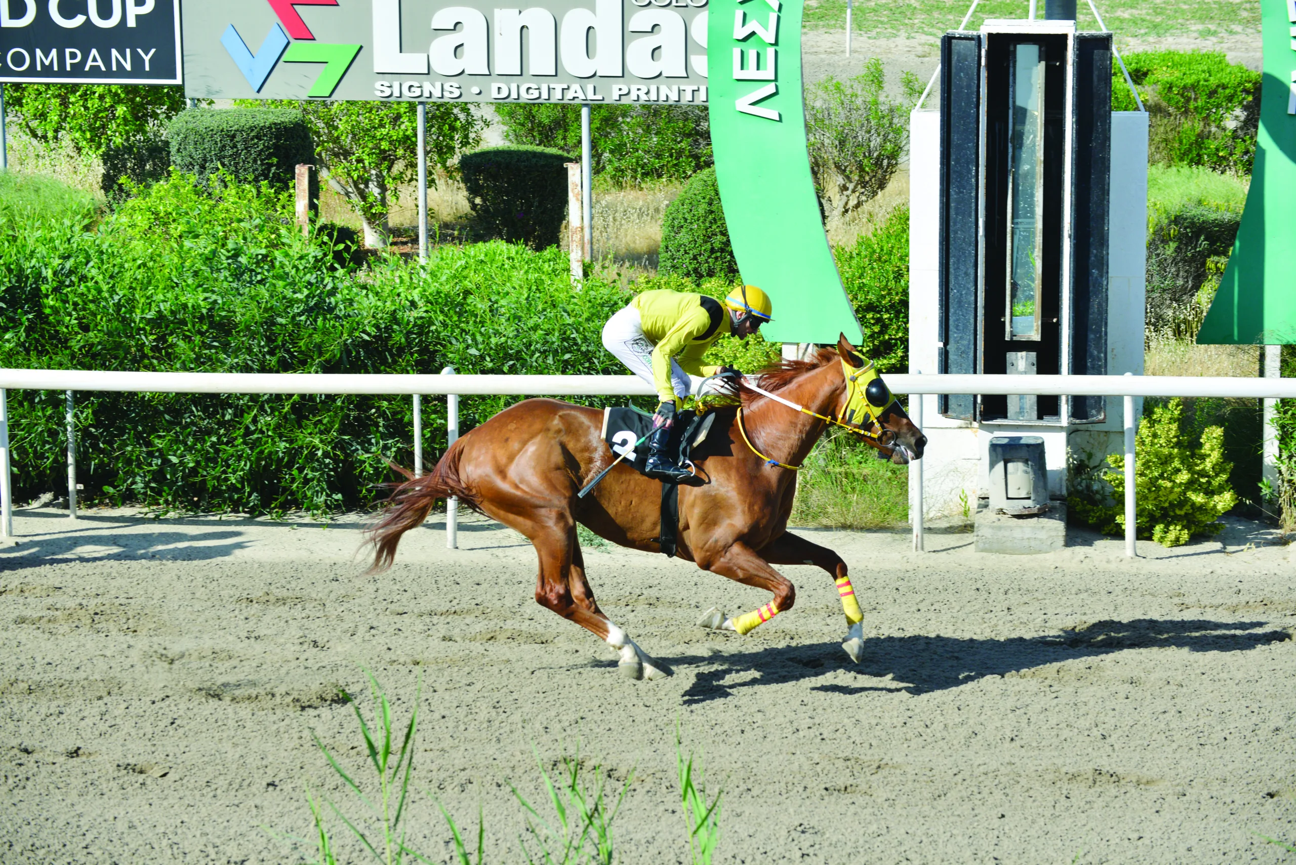 ΙΠΠΟΔΡΟΜΟΣ ΚΥΠΡΟΣ / IPPODROMOS KYPROS