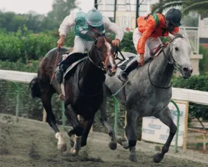 ΙΠΠΟΔΡΟΜΟΣ ΚΥΠΡΟΣ / IPPODROMOS KYPROS