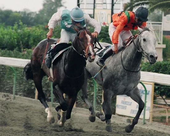 Έκοψαν ανάσες Γκάλι Γκράντυ-Καρόλα 1 ΙΠΠΟΔΡΟΜΟΣ ΚΥΠΡΟΣ / IPPODROMOS KYPROS