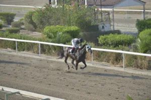 ΙΠΠΟΔΡΟΜΟΣ ΚΥΠΡΟΣ / IPPODROMOS KYPROS