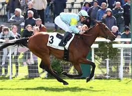 ΙΠΠΟΔΡΟΜΟΣ ΚΥΠΡΟΣ / IPPODROMOS KYPROS