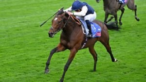 ΙΠΠΟΔΡΟΜΟΣ ΚΥΠΡΟΣ / IPPODROMOS KYPROS