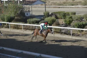 ΙΠΠΟΔΡΟΜΟΣ ΚΥΠΡΟΣ / IPPODROMOS KYPROS ΙΠΠΟΔΡΟΜΟΣ ΚΥΠΡΟΣ / IPPODROMOS KYPROS ΜΥΡΤΩ - 19/10/2025