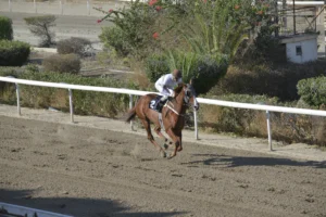 ΙΠΠΟΔΡΟΜΟΣ ΚΥΠΡΟΣ / IPPODROMOS KYPROS ΕΣΣΑΠΕ (ΚΥΠΕΛΛΟ ΦΘΙΝΟΠΩΡΟΥ) - 12/10/2025