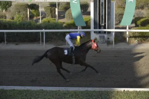 ΙΠΠΟΔΡΟΜΟΣ ΚΥΠΡΟΣ / IPPODROMOS KYPROS ΦΕΡΡΑΡΙ ΠΑΟΥΕΡ - 28/10/2025