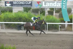 ΙΠΠΟΔΡΟΜΟΣ ΚΥΠΡΟΣ / IPPODROMOS KYPROS ΚΑΡΠΟΖΗΛΟΣ  - 01/10/2025