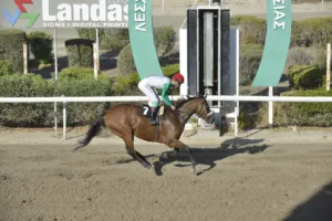 ΙΠΠΟΔΡΟΜΟΣ ΚΥΠΡΟΣ / IPPODROMOS KYPROS ΙΠΠΟΔΡΟΜΟΣ ΚΥΠΡΟΣ / IPPODROMOS KYPROS ΜΥΡΤΩ - 19/10/2025