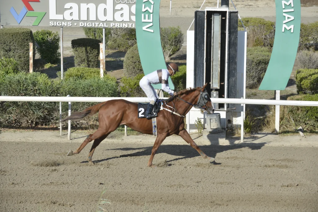 ΙΠΠΟΔΡΟΜΟΣ ΚΥΠΡΟΣ / IPPODROMOS KYPROS ΕΣΣΑΠΕ (ΚΥΠΕΛΛΟ ΦΘΙΝΟΠΩΡΟΥ) - 12/10/2025