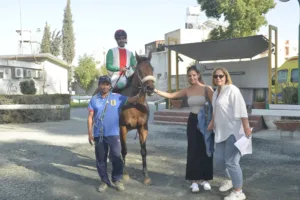 ΙΠΠΟΔΡΟΜΟΣ ΚΥΠΡΟΣ / IPPODROMOS KYPROS ΙΠΠΟΔΡΟΜΟΣ ΚΥΠΡΟΣ / IPPODROMOS KYPROS ΜΥΡΤΩ - 19/10/2025