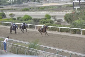 ΙΠΠΟΔΡΟΜΟΣ ΚΥΠΡΟΣ / IPPODROMOS KYPROS ΜΑΤΖΕΣΤΙΚ ΑΡΙΑ - 01/10/2025