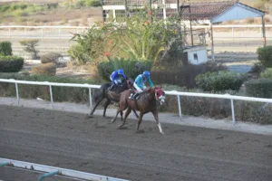 ΙΠΠΟΔΡΟΜΟΣ ΚΥΠΡΟΣ / IPPODROMOS KYPROS ΣΤΑΡΛΙΝΚ - ΚΥΠΕΛΛΟ 28ΗΣ ΟΚΤΩΒΡΙΟΥ - 28/10/2025