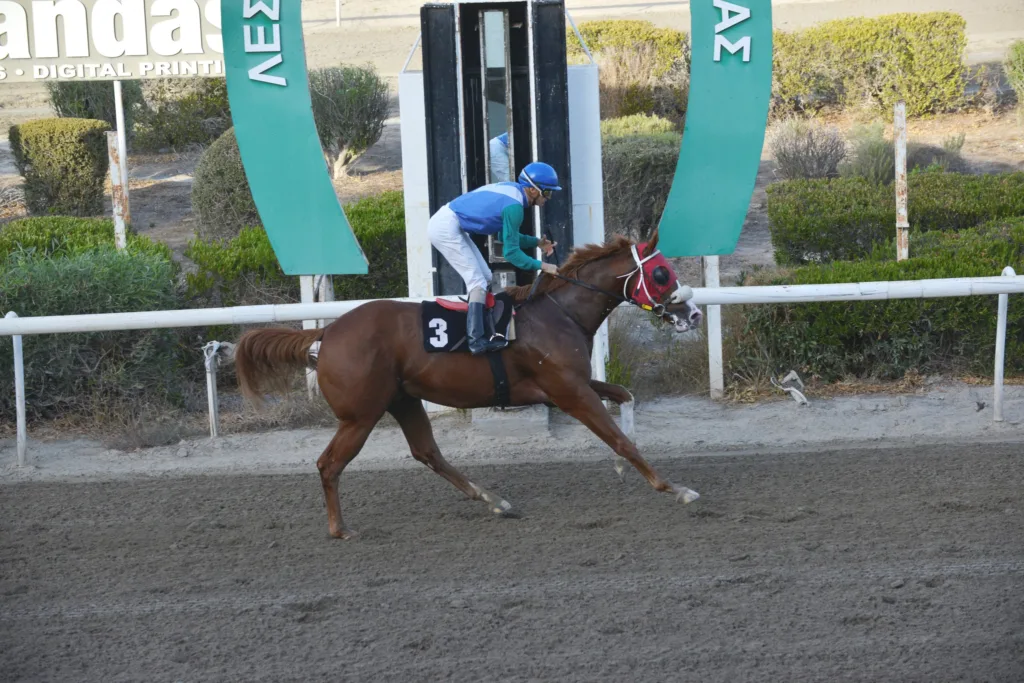 Πρωταθλητής διετής ο Στάρλινκ 1 ΙΠΠΟΔΡΟΜΟΣ ΚΥΠΡΟΣ / IPPODROMOS KYPROS ΣΤΑΡΛΙΝΚ - ΚΥΠΕΛΛΟ 28ΗΣ ΟΚΤΩΒΡΙΟΥ - 28/10/2025