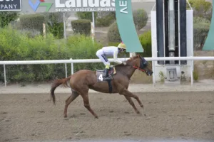 ΙΠΠΟΔΡΟΜΟΣ ΚΥΠΡΟΣ / IPPODROMOS KYPROS ΜΑΤΖΕΣΤΙΚ ΑΡΙΑ - 01/10/2025