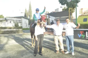 ΙΠΠΟΔΡΟΜΟΣ ΚΥΠΡΟΣ / IPPODROMOS KYPROS ΣΤΑΡΛΙΝΚ - ΚΥΠΕΛΛΟ 28ΗΣ ΟΚΤΩΒΡΙΟΥ - 28/10/2025