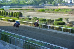 ΙΠΠΟΔΡΟΜΟΣ ΚΥΠΡΟΣ / IPPODROMOS KYPROS ΙΠΠΟΔΡΟΜΟΣ ΚΥΠΡΟΣ / IPPODROMOS KYPROS ΛΕΩΚΡΑΤΗΣ - ΚΥΠΕΛΛΟ 2000 ΓΚΙΝΕΩΝ - 19/10/2025