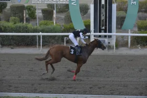 ΙΠΠΟΔΡΟΜΟΣ ΚΥΠΡΟΣ / IPPODROMOS KYPROS ΩΡΑΙΑ ΕΛΕΝΗ - 28/10/2025