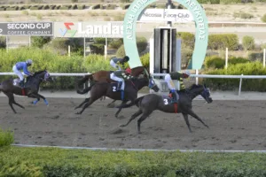 ΙΠΠΟΔΡΟΜΟΣ ΚΥΠΡΟΣ / IPPODROMOS KYPROS ΞΕΝΑΓΟΡΑΣ - 01/10/2025