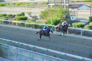 ΙΠΠΟΔΡΟΜΟΣ ΚΥΠΡΟΣ / IPPODROMOS KYPROS ΙΠΠΟΔΡΟΜΟΣ ΚΥΠΡΟΣ / IPPODROMOS KYPROS ΛΕΩΚΡΑΤΗΣ - ΚΥΠΕΛΛΟ 2000 ΓΚΙΝΕΩΝ - 19/10/2025