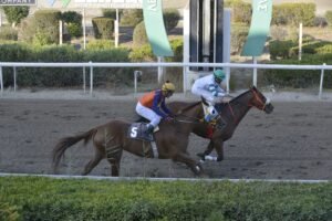 ΙΠΠΟΔΡΟΜΟΣ ΚΥΠΡΟΣ / IPPODROMOS KYPROS ΜΑΡΙΝΑ ΣΤΥΛΙΑΝΑ - 15/10/2025