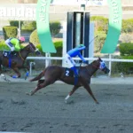 ΙΠΠΟΔΡΟΜΟΣ ΚΥΠΡΟΣ / IPPODROMOS KYPROS ΙΠΠΟΔΡΟΜΟΣ ΚΥΠΡΟΣ / IPPODROMOS KYPROS ΛΕΩΚΡΑΤΗΣ - ΚΥΠΕΛΛΟ 2000 ΓΚΙΝΕΩΝ - 19/10/2025