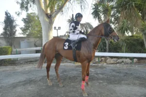 ΙΠΠΟΔΡΟΜΟΣ ΚΥΠΡΟΣ / IPPODROMOS KYPROS ΩΡΑΙΑ ΕΛΕΝΗ - 28/10/2025