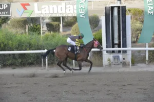 ΙΠΠΟΔΡΟΜΟΣ ΚΥΠΡΟΣ / IPPODROMOS KYPROS ΜΙΚΡΗ ΣΟΦΙΑ - 08/10/2025