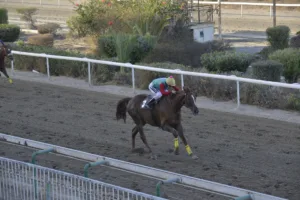 ΙΠΠΟΔΡΟΜΟΣ ΚΥΠΡΟΣ / IPPODROMOS KYPROS ΙΠΠΟΔΡΟΜΟΣ ΚΥΠΡΟΣ / IPPODROMOS KYPROS ΠΑΝΑΚΡΙΒΟΣ - 19/10/2025