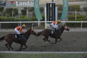 ΙΠΠΟΔΡΟΜΟΣ ΚΥΠΡΟΣ / IPPODROMOS KYPROS ΣΩΤΗΡΟΥΛΑΣ ΜΕΜΟΡΙ - 28/10/2025