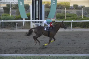 ΙΠΠΟΔΡΟΜΟΣ ΚΥΠΡΟΣ / IPPODROMOS KYPROS ΙΠΠΟΔΡΟΜΟΣ ΚΥΠΡΟΣ / IPPODROMOS KYPROS ΠΑΝΑΚΡΙΒΟΣ - 19/10/2025