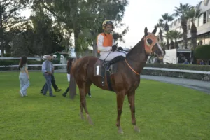 ΙΠΠΟΔΡΟΜΟΣ ΚΥΠΡΟΣ / IPPODROMOS KYPROS ΣΩΤΗΡΟΥΛΑΣ ΜΕΜΟΡΙ - 28/10/2025