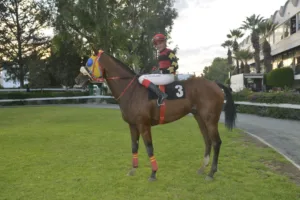 ΙΠΠΟΔΡΟΜΟΣ ΚΥΠΡΟΣ / IPPODROMOS KYPROS