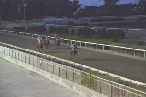 ΙΠΠΟΔΡΟΜΟΣ ΚΥΠΡΟΣ / IPPODROMOS KYPROS ΕΣΣΑΠΕ - ΚΥΠΕΛΛΟ ΓΕΩΡΓΙΟΥ ΣΤΑΥΡΑΚΗ - 28/10/2025