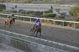 ΙΠΠΟΔΡΟΜΟΣ ΚΥΠΡΟΣ / IPPODROMOS KYPROS ΙΠΠΟΔΡΟΜΟΣ ΚΥΠΡΟΣ / IPPODROMOS KYPROS ΚΙΝΥΡΑΣ - 19/10/2025