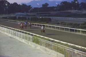 ΙΠΠΟΔΡΟΜΟΣ ΚΥΠΡΟΣ / IPPODROMOS KYPROS ΕΣΣΑΠΕ - ΚΥΠΕΛΛΟ ΓΕΩΡΓΙΟΥ ΣΤΑΥΡΑΚΗ - 28/10/2025