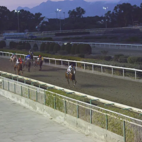 ΙΠΠΟΔΡΟΜΟΣ ΚΥΠΡΟΣ / IPPODROMOS KYPROS ΕΣΣΑΠΕ - ΚΥΠΕΛΛΟ ΓΕΩΡΓΙΟΥ ΣΤΑΥΡΑΚΗ - 28/10/2025