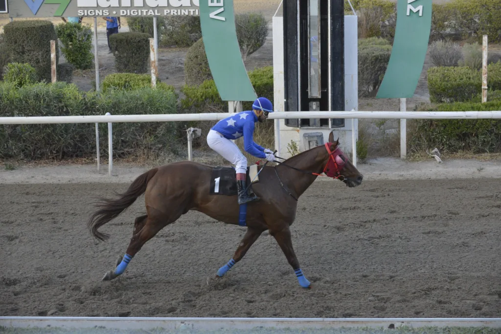 ΙΠΠΟΔΡΟΜΟΣ ΚΥΠΡΟΣ / IPPODROMOS KYPROS ΙΠΠΟΔΡΟΜΟΣ ΚΥΠΡΟΣ / IPPODROMOS KYPROS ΚΙΝΥΡΑΣ - 19/10/2025