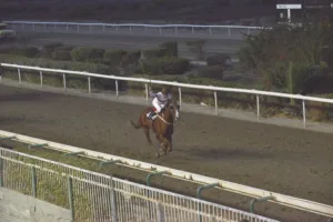 ΙΠΠΟΔΡΟΜΟΣ ΚΥΠΡΟΣ / IPPODROMOS KYPROS ΕΣΣΑΠΕ - ΚΥΠΕΛΛΟ ΓΕΩΡΓΙΟΥ ΣΤΑΥΡΑΚΗ - 28/10/2025