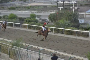 ΙΠΠΟΔΡΟΜΟΣ ΚΥΠΡΟΣ / IPPODROMOS KYPROS