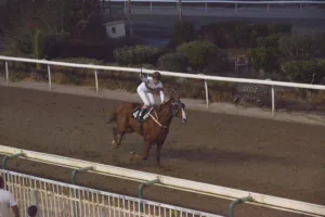 ΙΠΠΟΔΡΟΜΟΣ ΚΥΠΡΟΣ / IPPODROMOS KYPROS ΕΣΣΑΠΕ - ΚΥΠΕΛΛΟ ΓΕΩΡΓΙΟΥ ΣΤΑΥΡΑΚΗ - 28/10/2025