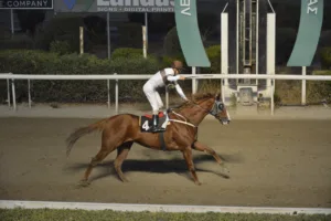 ΙΠΠΟΔΡΟΜΟΣ ΚΥΠΡΟΣ / IPPODROMOS KYPROS ΕΣΣΑΠΕ - ΚΥΠΕΛΛΟ ΓΕΩΡΓΙΟΥ ΣΤΑΥΡΑΚΗ - 28/10/2025