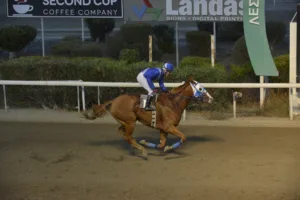 ΙΠΠΟΔΡΟΜΟΣ ΚΥΠΡΟΣ / IPPODROMOS KYPROS ΝΙΚΟΛΑΣ ΘΑΝΤΕΡ - 19/10/2025