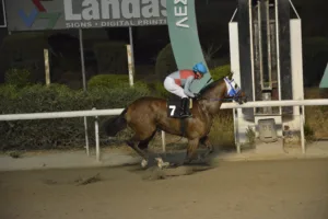 ΙΠΠΟΔΡΟΜΟΣ ΚΥΠΡΟΣ / IPPODROMOS KYPROS ΝΙΚΟΛΑΤΖΗΣ - 26/10/2025