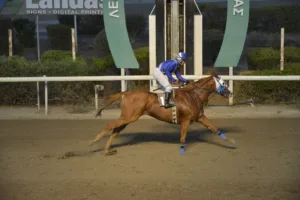 ΙΠΠΟΔΡΟΜΟΣ ΚΥΠΡΟΣ / IPPODROMOS KYPROS ΝΙΚΟΛΑΣ ΘΑΝΤΕΡ - 19/10/2025