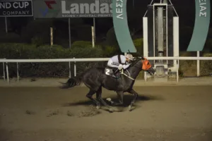 ΙΠΠΟΔΡΟΜΟΣ ΚΥΠΡΟΣ / IPPODROMOS KYPROS ΕΛΠΙΔΟΦΟΡΟΣ - 19/01/2025