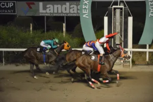 ΙΠΠΟΔΡΟΜΟΣ ΚΥΠΡΟΣ / IPPODROMOS KYPROS ΙΝΒΕΣΤΟΡ - 08/10/2025